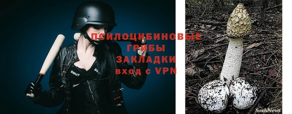 прущая мука Кинешма