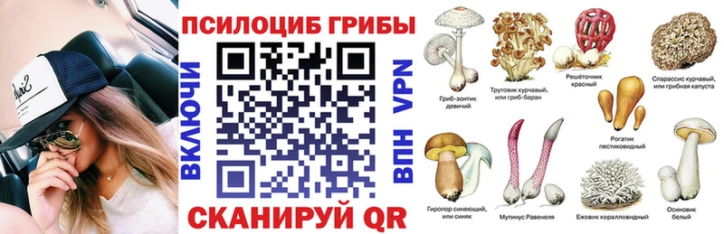 Купить где  Магас  Галлюциногенные грибы прущие грибы 